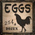 Eggs 25 Cents A Dozen Novelty Square Sign