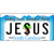 Jesus South Carolina Metal Novelty License Plate