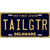 Tailgtr Delaware Novelty Metal License Plate