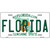 Florida Novelty Metal License Plate