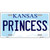 Princess Kansas Novelty Metal License Plate