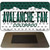 Avalanche Fan Colorado State Novelty Metal Magnet M-10828