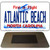 Atlantic Beach North Carolina State Magnet M-11749