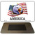 American Eagle Novelty Metal Magnet M-133