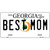 Best Mom Georgia Novelty Metal License Plate