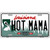 Hot Mama Louisiana Novelty Metal License Plate