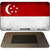 Singapore Flag Novelty Metal Magnet M-4140