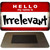 Hello My Name Is Irrelevant Novelty Metal Magnet M-5194