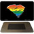 South Carolina State Outline Rainbow Novelty Metal Magnet M-6354