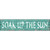 Soak Up The Sun Novelty Metal Street Sign