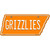 Grizzlies Novelty Metal Tennessee License Plate Tag TN-033