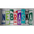 Nebraska License Plate Art Metal Novelty License Plate