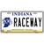 Raceway Indiana Novelty Metal License Plate