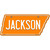 Jackson Novelty Metal Tennessee License Plate Tag TN-048