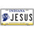 Jesus Indiana Novelty Metal License Plate