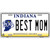 Best Mom Indiana Novelty Metal License Plate