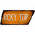 Rcky Top Novelty Rusty Effect Metal Tennessee License Plate Tag TN-153