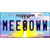 Meeooww Mississippi Novelty Metal License Plate