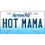 Hot Mama Kentucky Novelty Metal License Plate