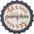 Hello Pumpkin Novelty Metal Bottle Cap Sign BC-1367