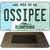 Ossipee New Hampshire Novelty Metal Magnet M-13791