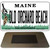 Old Orchard Beach Maine Novelty Metal Magnet