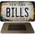 Bills Excelsior New York Rusty Novelty Metal Magnet
