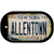 Allentown Excelsior New York Rusty Novelty Metal Dog Tag Necklace