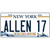 Allen 17 NY Excelsior Novelty Metal License Plate Tag