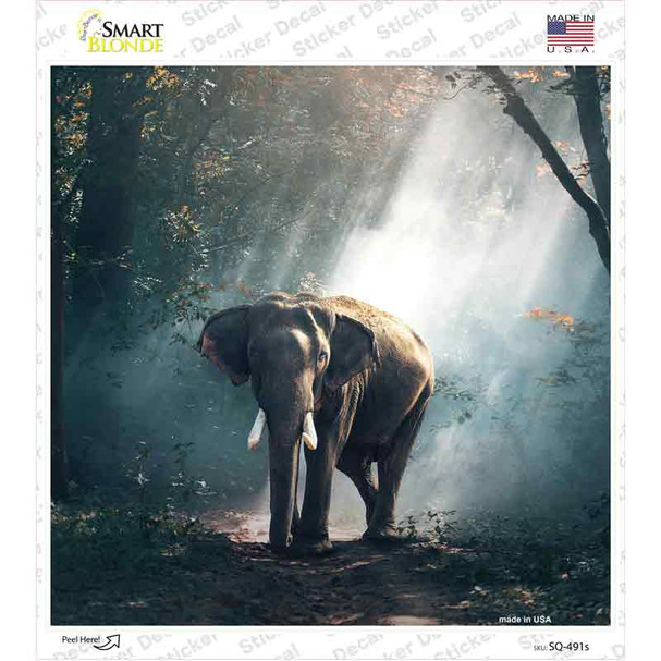 Elephant Photo Novelty Square Sticker Decal