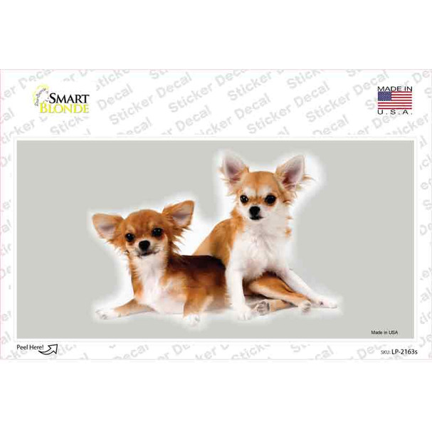 Chihuahua Dog Novelty Sticker Decal