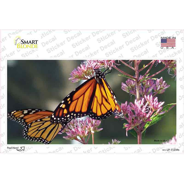 Butterfly Monarch On Flower Novelty Sticker Decal