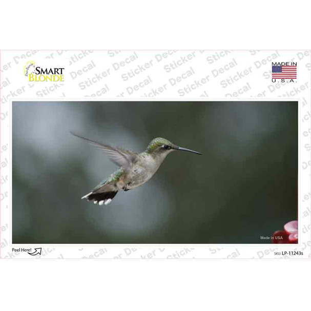 Hummingbird In Flight Novelty Sticker Decal