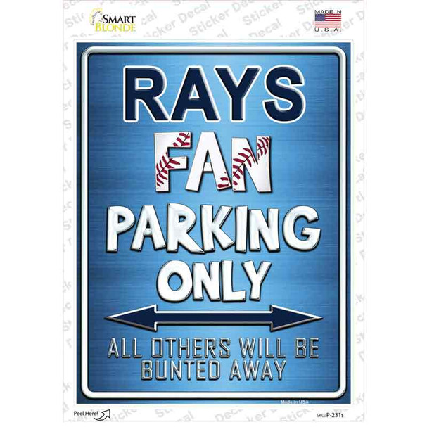 Rays Novelty Rectangle Sticker Decal