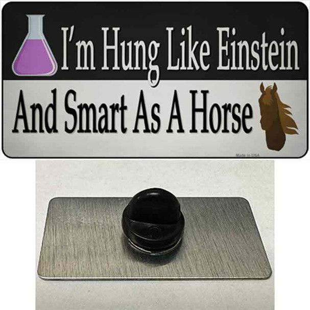 Hung Like Einstein Wholesale Novelty Metal Hat Pin Tag