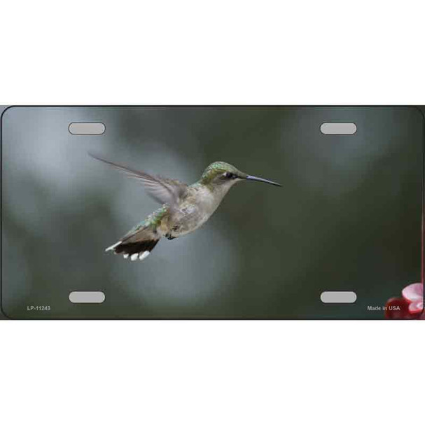 Hummingbird In Flight Novelty Metal License Plate