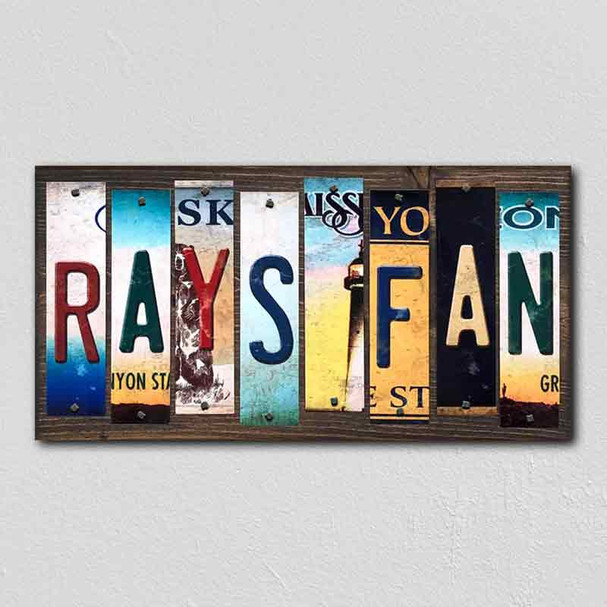 Rays Fan License Plate Tag Strips Novelty Wood Signs WS-418