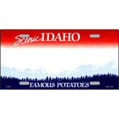 Idaho Novelty State Blank Metal License Plate