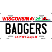 Badgers Wisconsin Novelty Metal License Plate