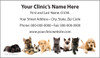 Veterinary business card featuring a lineup of puppies and kittens along the bottom with centered clinic contact information on a light gray background.

