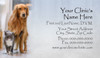 Veterinary business card featuring a golden retriever and gray cat beside a silver-gray panel containing clinic contact information.

