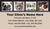 Veterinary business card featuring framed photographs of a pug, gray cat, dog with tennis ball, and tabby cat above clinic contact information.

