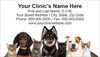 Veterinary business card featuring a lineup of seven dogs and cats on a light gray background with centered clinic contact information.

