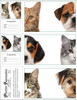 3DCMIX27 - 3 Up Reminder Cards 3DCMIX27 - 3 Up Reminder Cards
