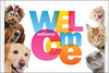 Colorful welcome postcard featuring dogs and cats surrounding a large multicolored "Welcome" message.

