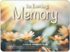 Wildflower Memorial Loose Seed Pack featuring soft yellow flowers, a blurred floral background, and the words “In Loving Memory” across the top.

