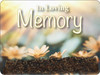 VMSL2 - Memorial Loose Seed Packs with seeds