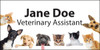 Personalized name tag featuring puppy and kitten photographs surrounding the border, including multiple dogs and cats on a light gray background with bold black name and title text.

