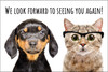 Winking puppy and cat wearing eyeglasses with the message "We Look Forward to Seeing You Again!"