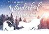 XMS54 - Holiday Card (XMS54) XMS54 - Holiday Card (XMS54)